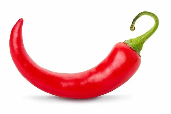 Cayenne