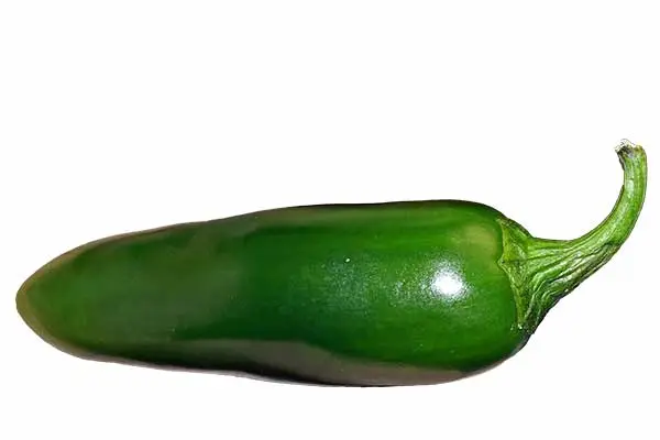 jalapeno