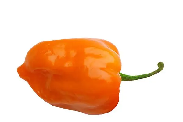 habanero
