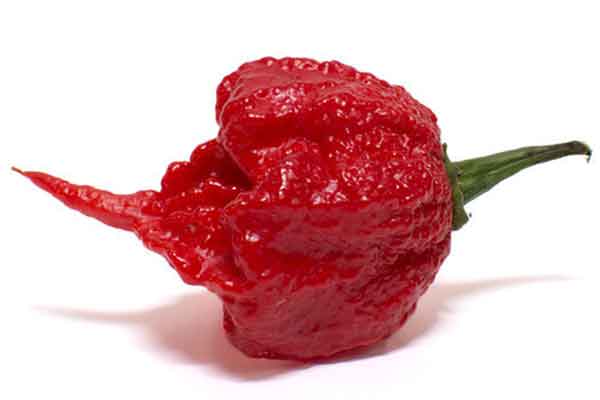 reaper