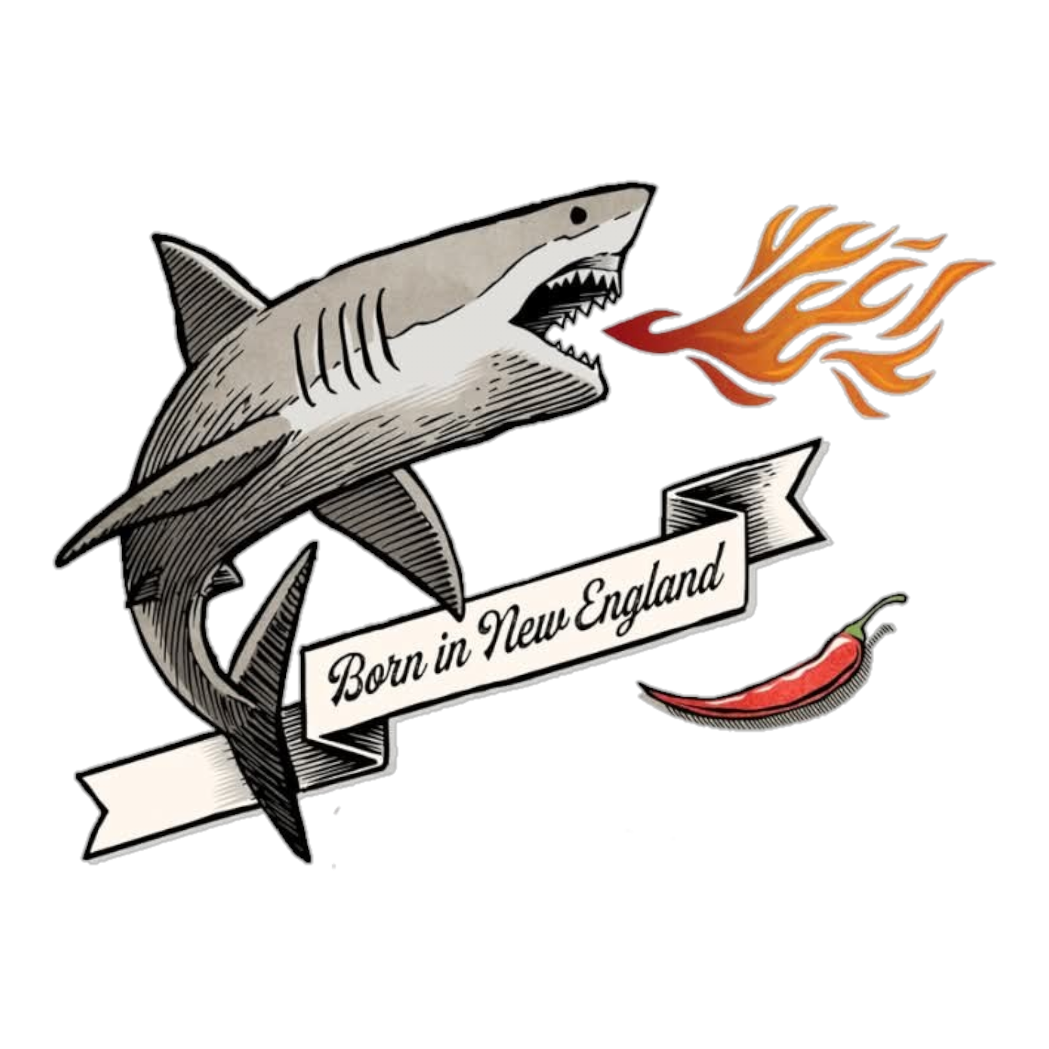 Spicy Shark